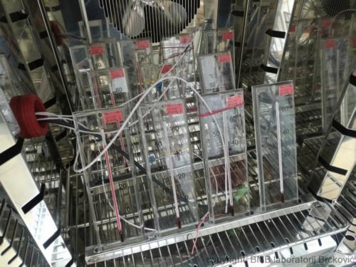 mIMG_20170406_153231