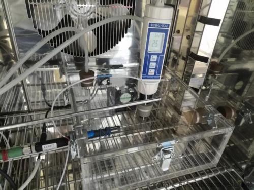 mIMG_20170424_145013